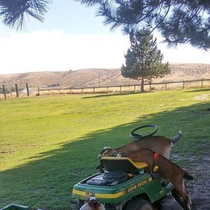 Meet your Posher, Jamie